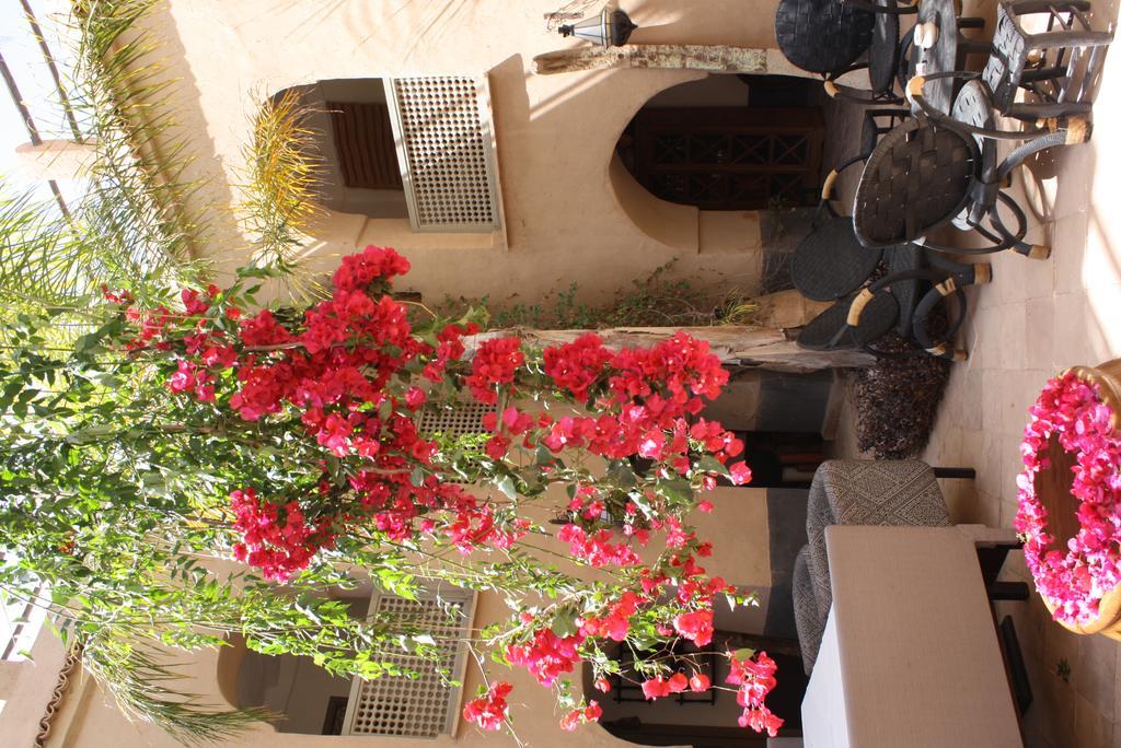 Riad El Koudia Douar el Koudia المظهر الخارجي الصورة